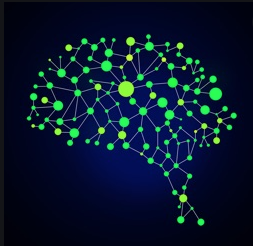 Business development services for start-ups - Brain Garden