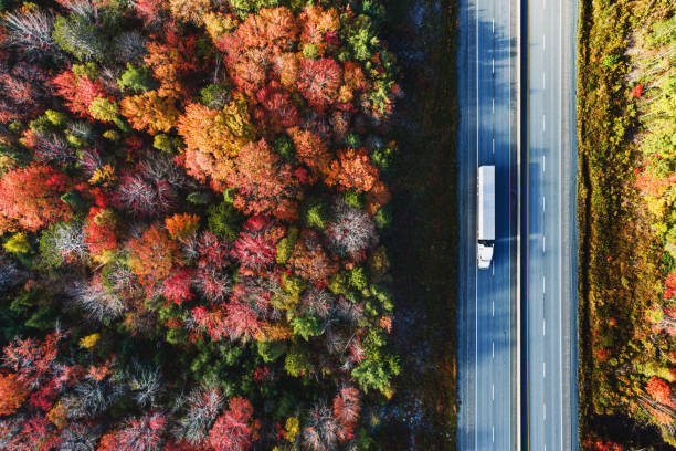 Build a Rewarding and Long-Lasting Career as an OTR Truck Driver 