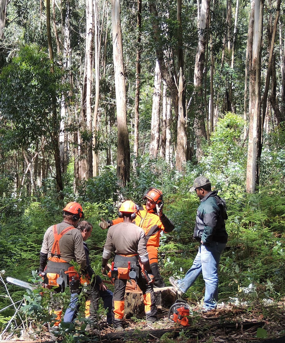Features in Logger Work Boots that Help You Achieve Peak Performance and Safety