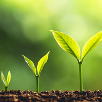 Why CBT in North Yorkshire is Important?