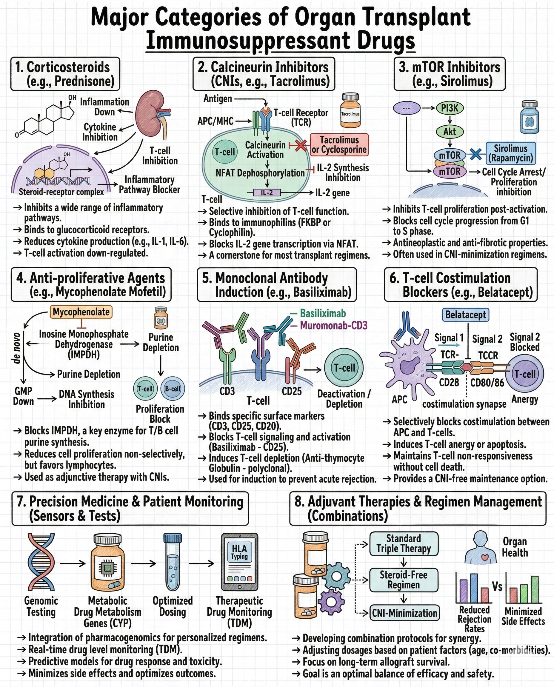 3.88% CAGR: Why the $5.70B Immunosuppressant Industry is the Bedrock of Transplant Success