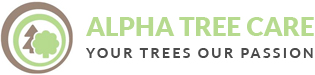 Tree Surgeons Oxshott