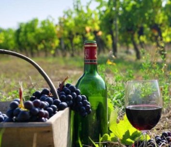 A Guide On Buying French Wine Online