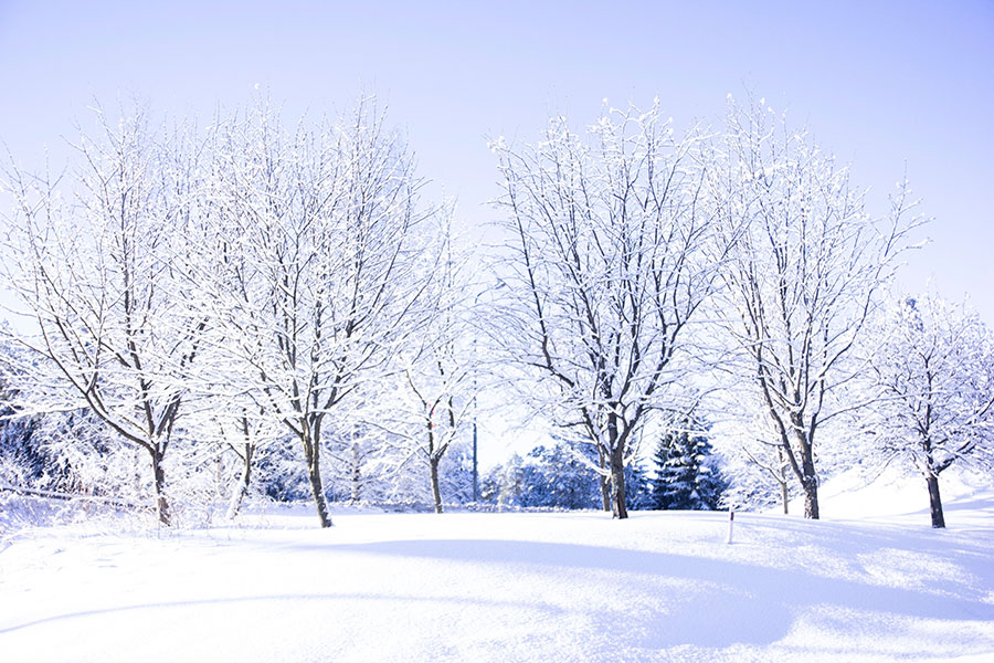 Winter Safety Tips for Customers and Employees in Atlanta, Georgia