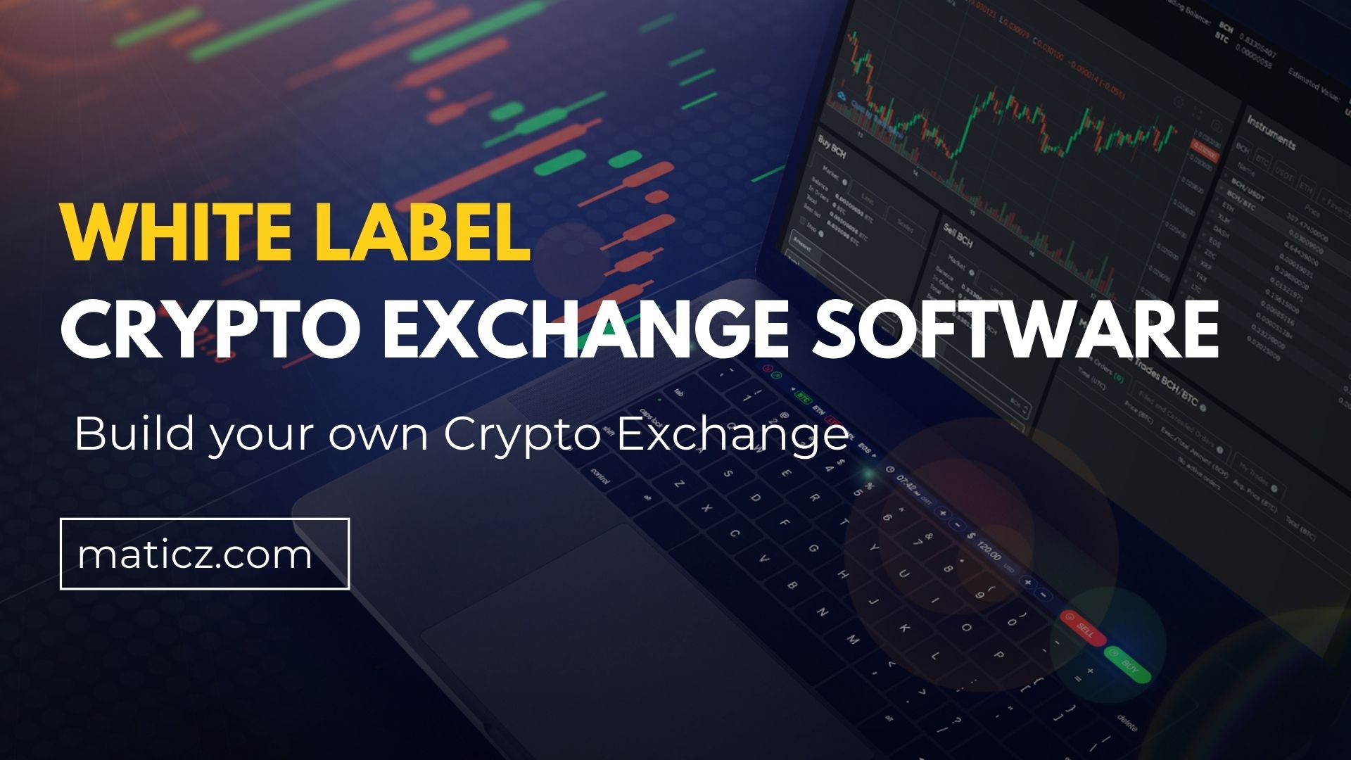 Build Cryptocurrency Exchange With White Label Crypto Exchange Software