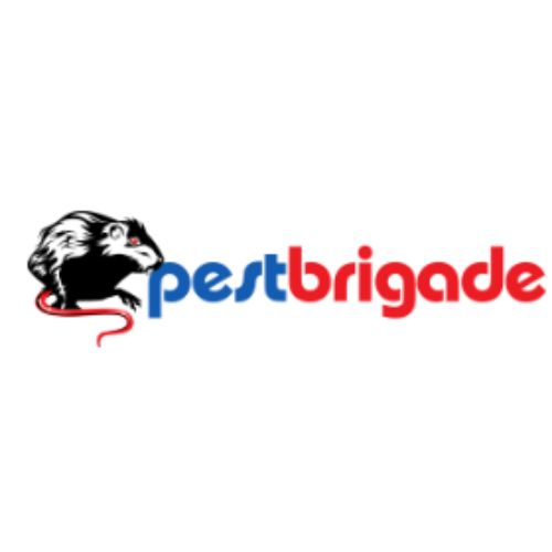 Safeguard Your Home with Termite Inspection and Treatment from Pest Brigade