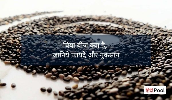 Chia Seeds Kya Hai in Hindi