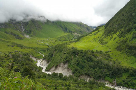 An anniversary to remember at the Valley of Flowers