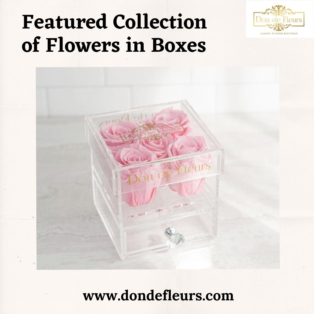 Featured Collection of Flowers in Boxes