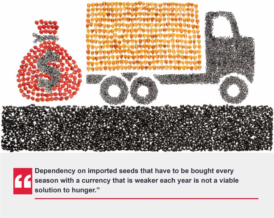 Food Security will improve the health of humans