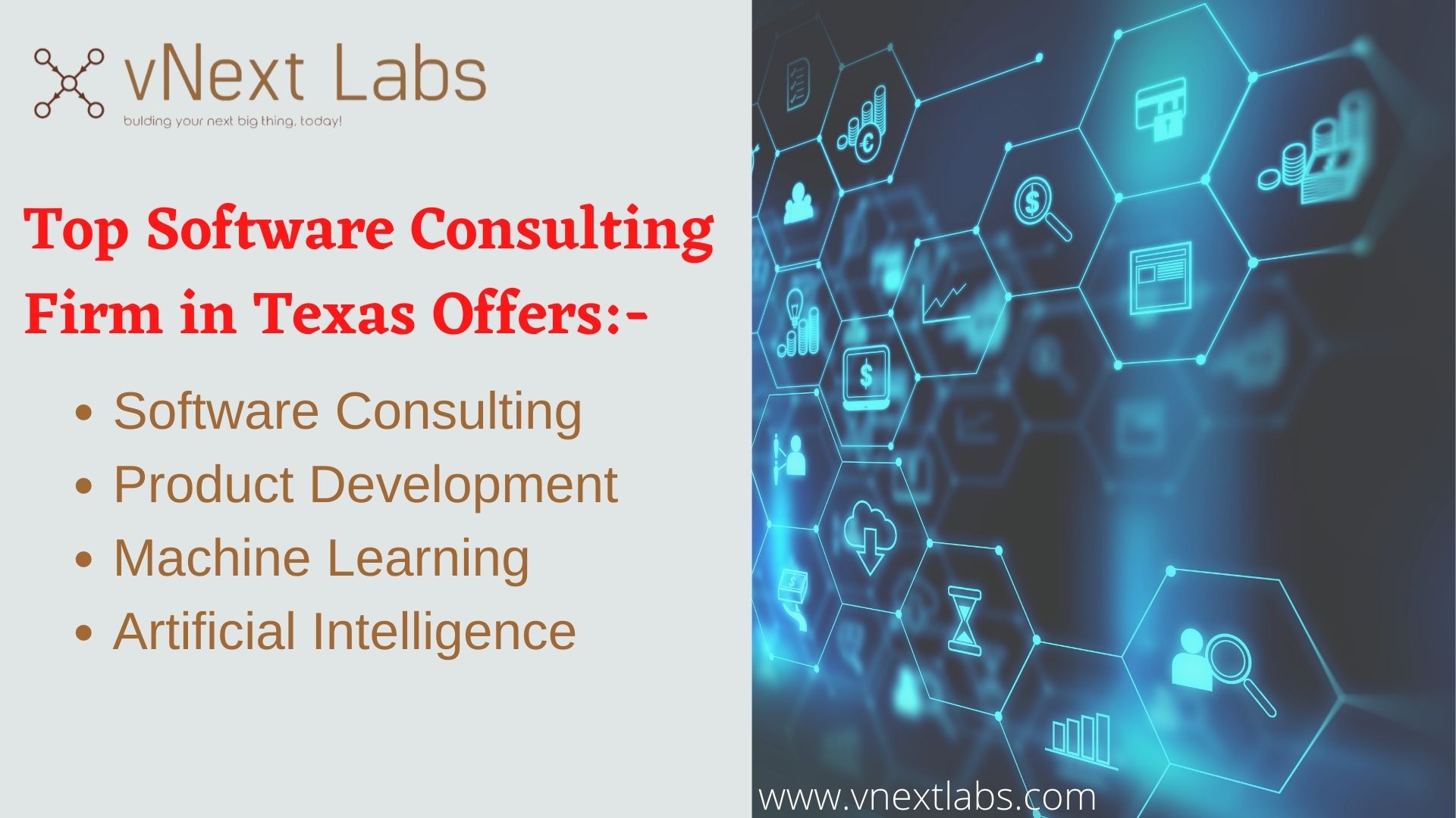 Top Software Consulting Firm in Texas- vNext Labs