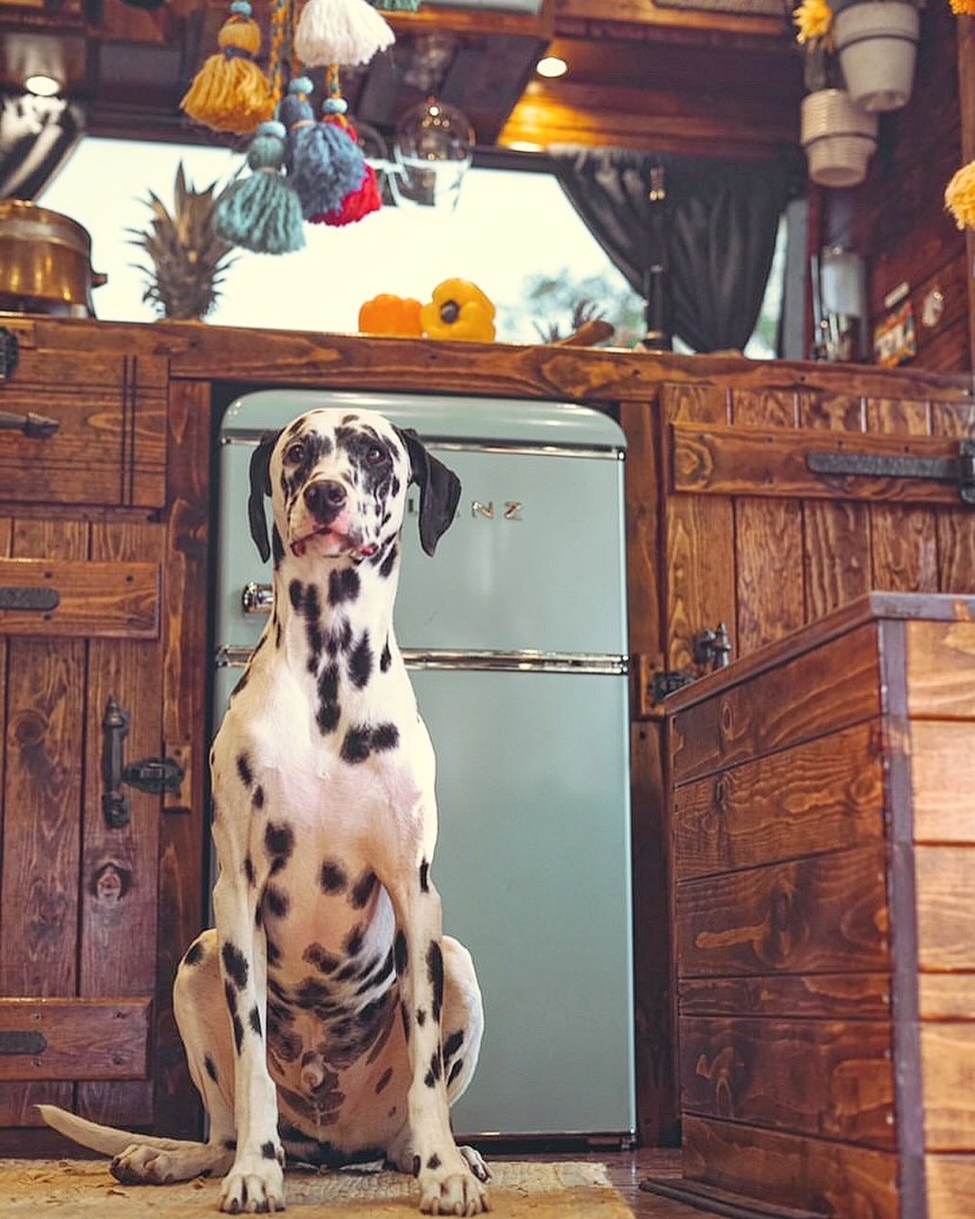 Van Camper Rental Near Me.