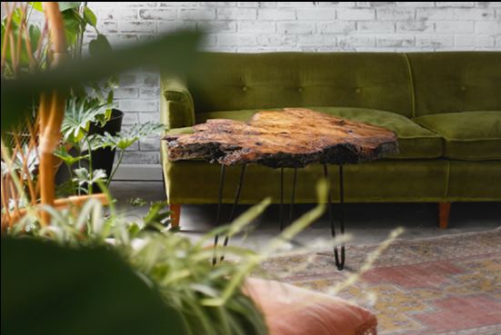 Buy Good Quality Driftwood Furniture AT Goldencoastburls.Com