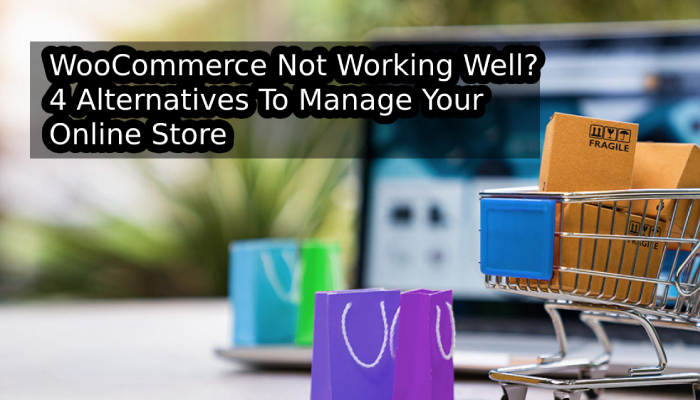 WooCommerce Not Working Well? 4 Alternatives To Manage Your Online Store