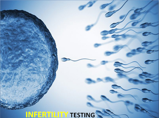 Infertility Testing - Dr. Heena Agrawal