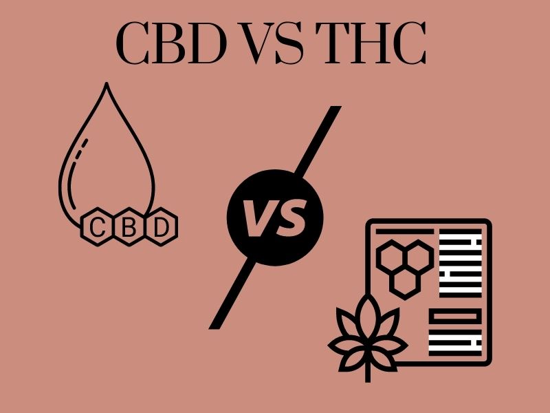 CBD vs. THC: Know the Difference and the Non-intoxicating Effects of CBD
