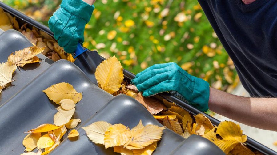 The Cost Of Professional Gutter Cleaning