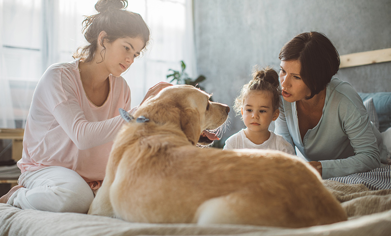 Choosing In Home pet Euthanasia