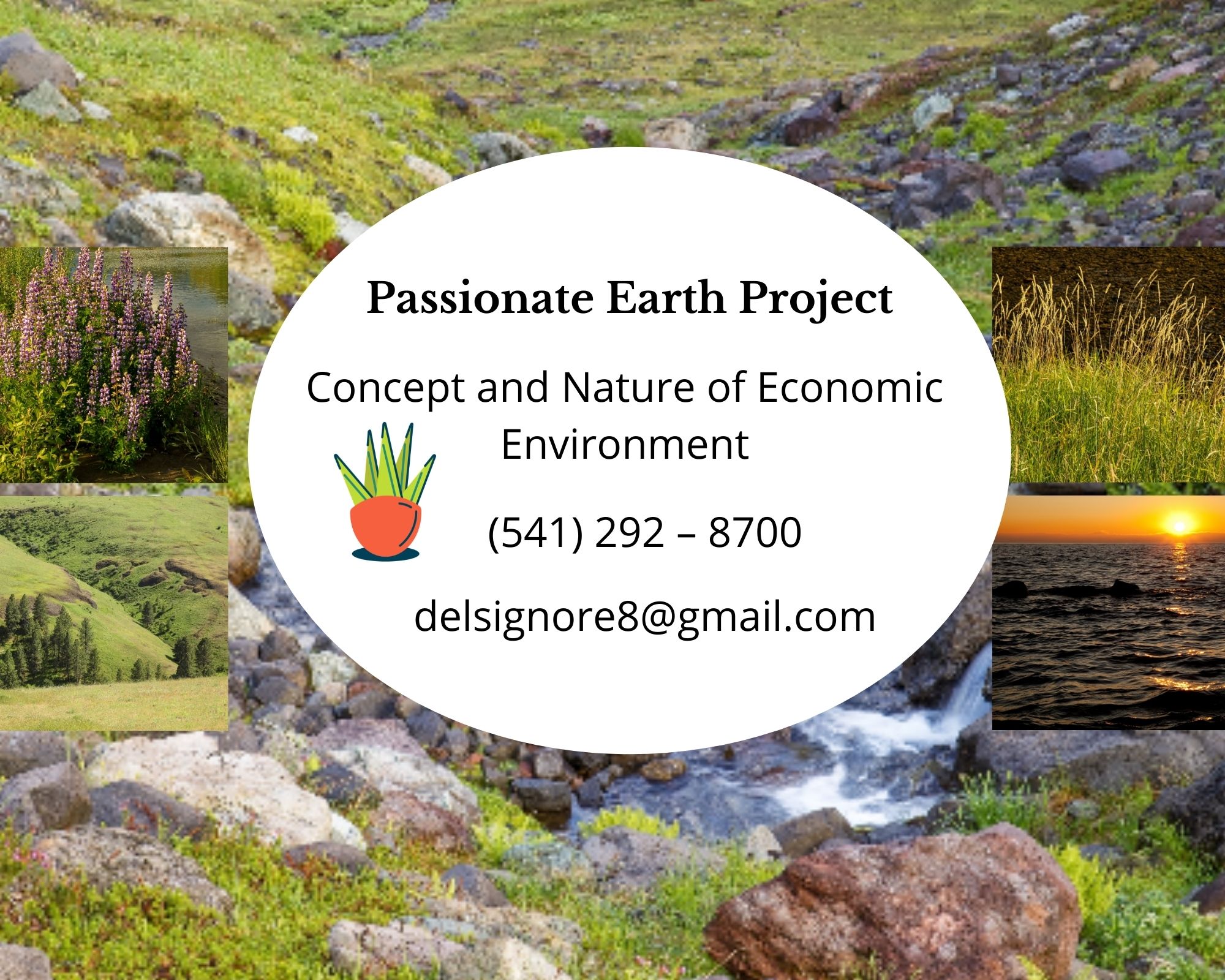 Discuss the Nature of Economic Environment