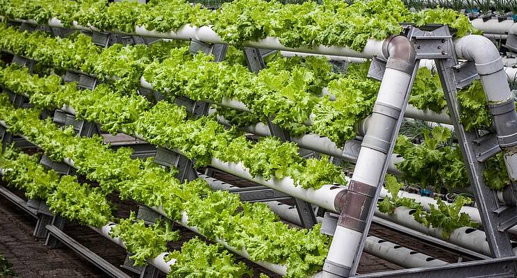 Vertical Farming Market In-depth Analysis by Statistics & Outlook 2026