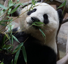 Latest news and articles