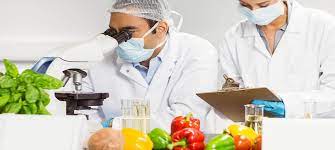 Temperature Monitoring Best Practices: How Food Industry Professionals Utilize Temperature Probes