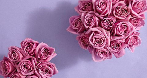 Funerals Central Coast