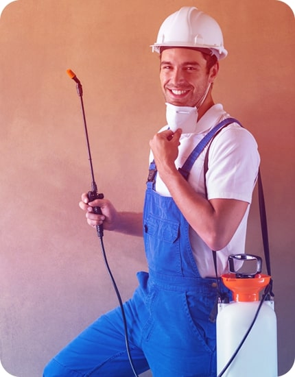 Hireprofessional and Leading Moth Control Services In Adelaide