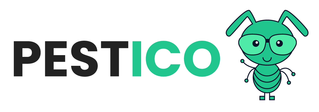 Ant Control in Adelaide