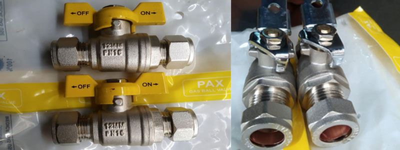 PAX Isolation Valve Manufacturer in India