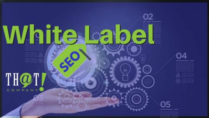 Stay Ahead In The Business Curve By Using Advanced White Label SEO Tools