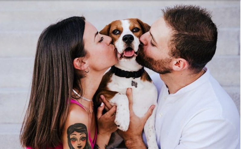 Want To Buy A Puppy: Consider These Things Before Getting A Dog!