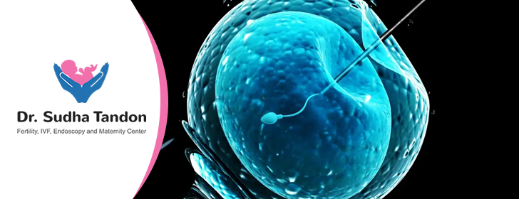 Tips to increase IVF Success Rate | Sudha Tandon Fertility Center