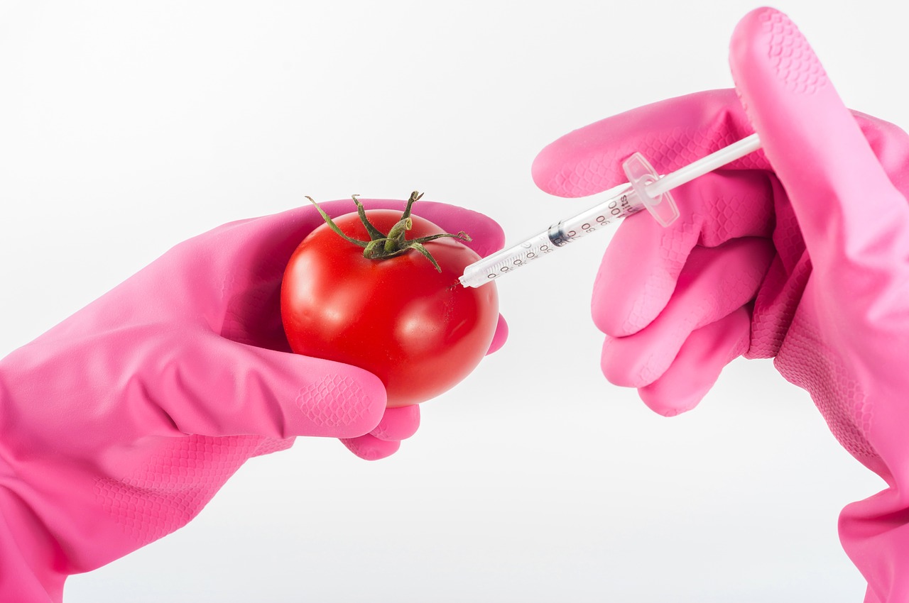 What Are Genetically Modified Foods?