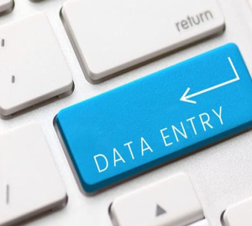 Hire a Virtual Assistant For Data Entry