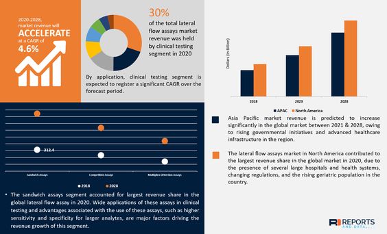 Lateral Flow Assays Market Growth, Segments, Landscape and Demand by Forecast to 2028