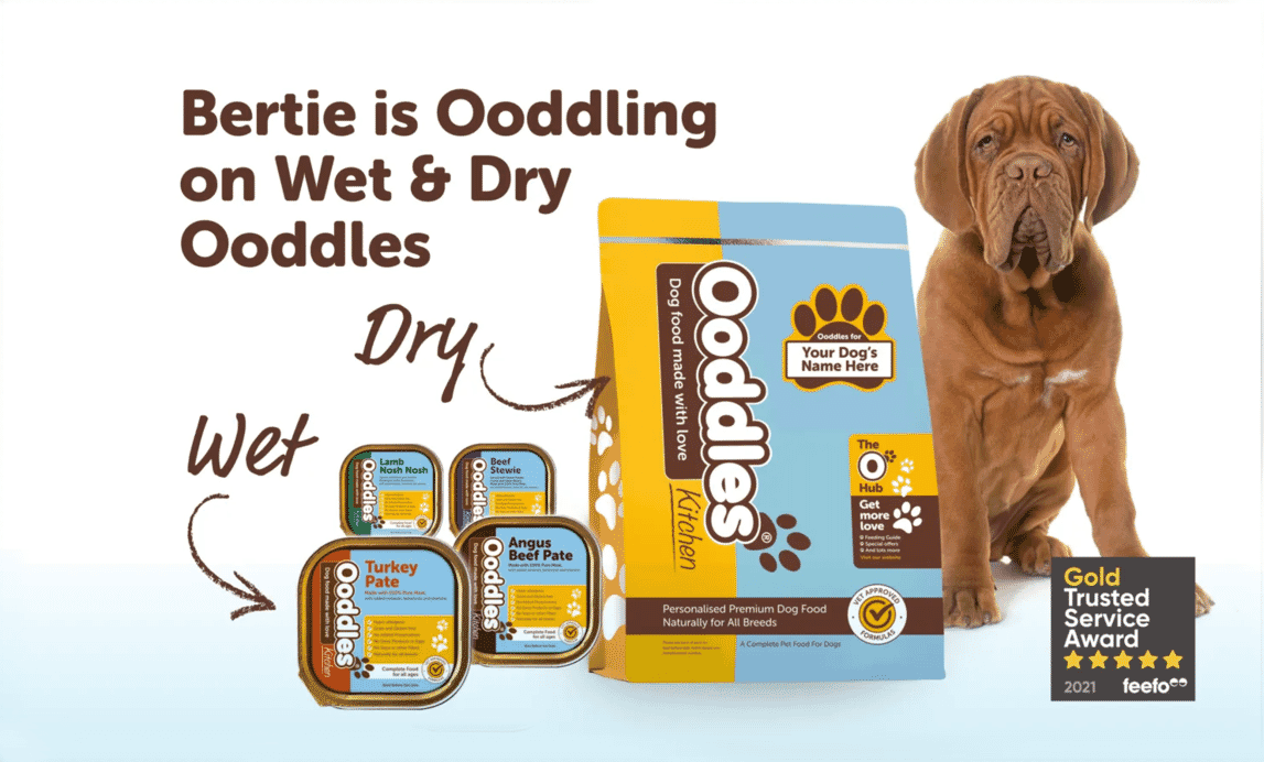 Raw Dog Food Primer: 6 Steps To Get Started