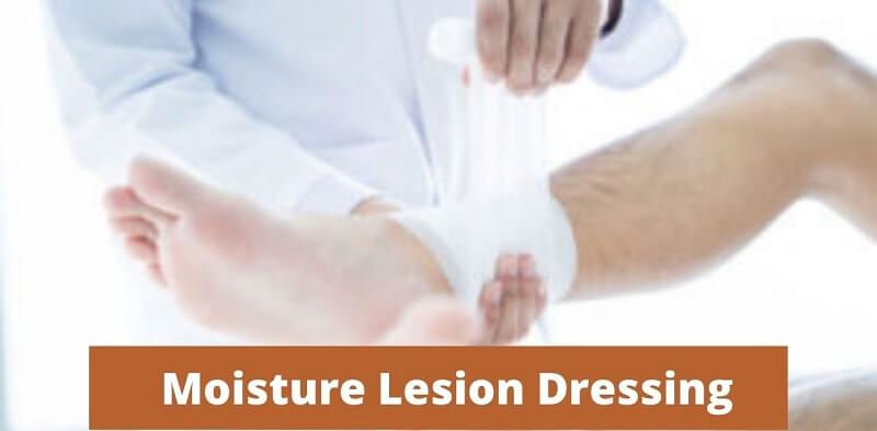  A Small Guide To Moisture Lesions