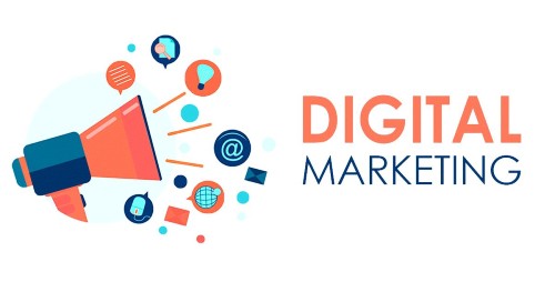 Digital Marketing Agency in Pitampura
