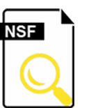 NSF to PST Converter Software