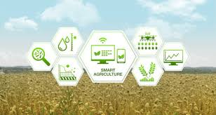 IoT Based Smart Agriculture Solution