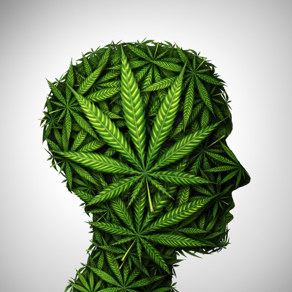 Are Interested To Learn The Benefits To Get Weed Online? If Yes Then Learn Here