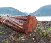 How To Find The Right Log Home Builder To Build Your Dream Home?