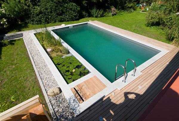 The Growing Popularity of Eco-Friendly Swimming Pools 