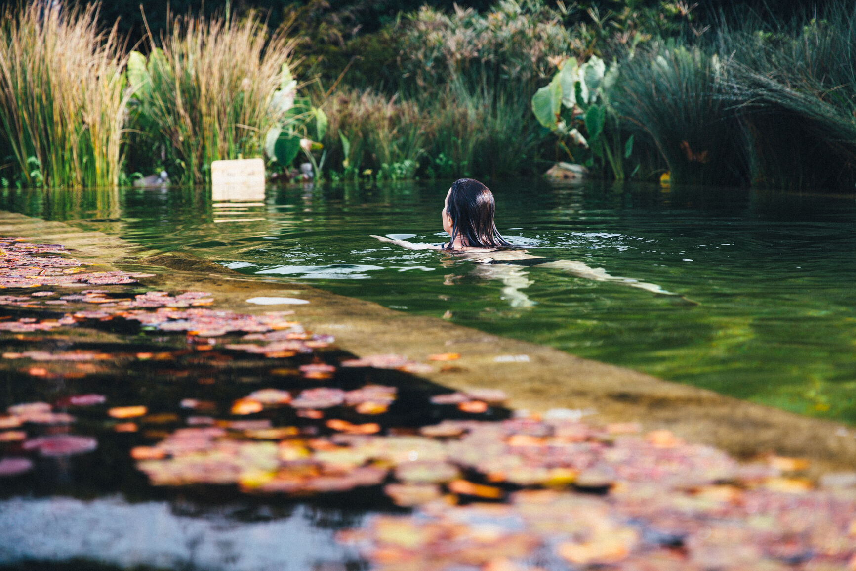 Get Your Dream Open Space Swimming with West Coast Natural Pools