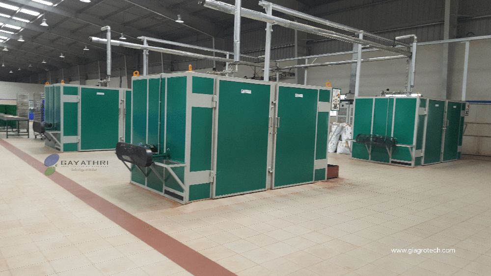 Cashew Kernels Borma Drying System