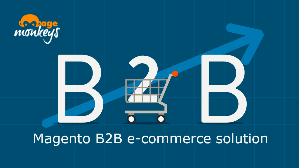 Magento B2B Solution
