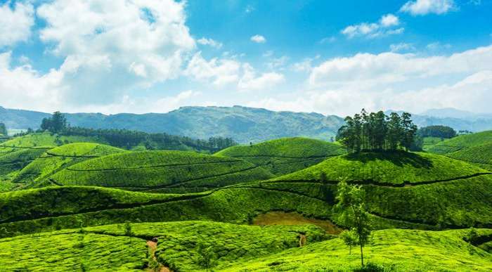 Hill stations in south India worth visiting