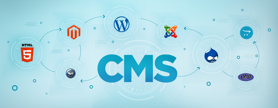 BEST CMS WEBSITE DEVELOPMENT-Nextsol. pk