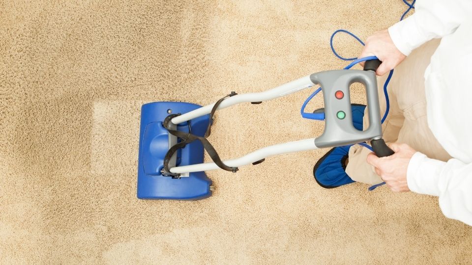 Should I Hire a Professional Carpet Cleaners?